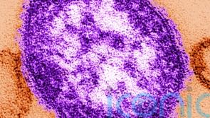 Nine suspected cases of measles in Ireland recorded in one week