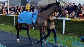Altior delights racegoers with Newbury parade