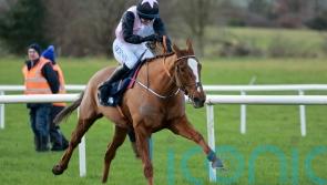 Hiddenvalley Lake lands smooth Boyne Hurdle success