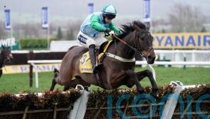 You Wear It Well poised to put weather woes behind her