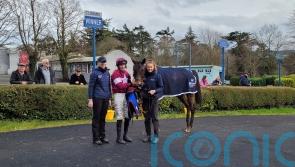Search For Glory ends in Grade Three honours at Clonmel
