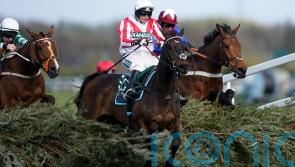 Latenightpass making hurdling bow on way to National bid