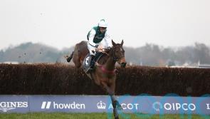 L&rsquo;Homme Presse team able to take plenty of positives from Ascot second