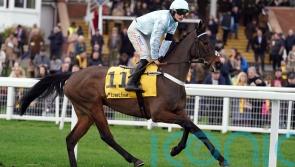 Doddiethegreat handed Coral Cup mission