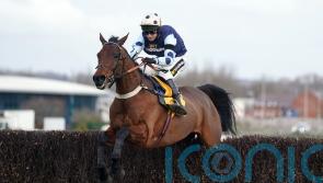 Cannon convinced Edwardstone can make Champion Chase impact