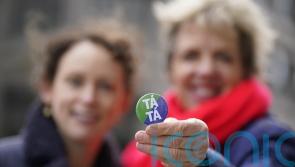 Referenda proposals &lsquo;a step forward towards a more fair Ireland&rsquo; &ndash; Labour leader