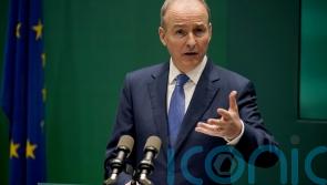 Irish funding for Casement Park &lsquo;should not be an issue of contention&rsquo; &ndash; Martin