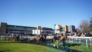 Fontwell loses National Spirit card to waterlogging