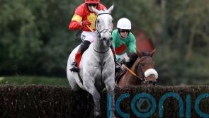 Vanillier backed to boost Aintree hopes at Fairyhouse