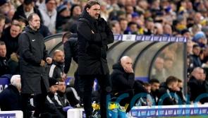 Daniel Farke hails feelgood factor at Leeds after late comeback stuns Leicester