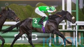 Annaf another international winner for Appleby