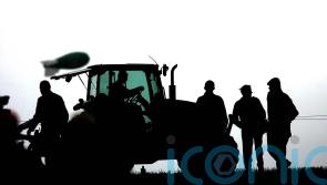 Ireland&rsquo;s nature minister: &lsquo;We can&rsquo;t restore nature without active farmers&rsquo;