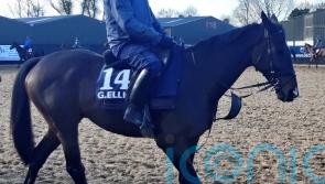 Elliott admits &lsquo;awesome&rsquo; Galopin hard to top at Cheltenham