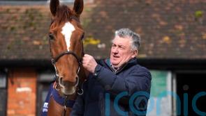 Nicholls &lsquo;slightly favouring&rsquo; Albert Bartlett test for Captain Teague