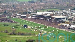Soft going anticipated for start of Cheltenham Festival