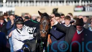 Henderson issues positive Constitution Hill update