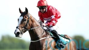 Spirit Dancer to chase Dubai riches for Sir Alex Ferguson