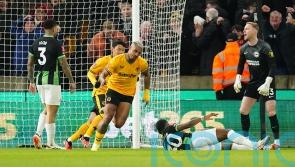 Wolves knock Brighton out of FA Cup thanks to early Mario Lemina strike