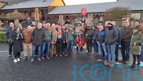 Leading Champion Bumper hope Maughreen ruled out of Cheltenham