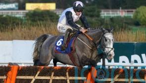 Champion Hurdle enters Elliott&rsquo;s Irish Point reckoning