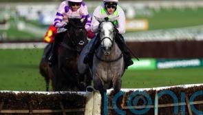 Mullins expects &lsquo;a conversation will be had&rsquo; on Lossiemouth target