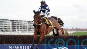 Edwardstone in top trim as Champion Chase date awaits