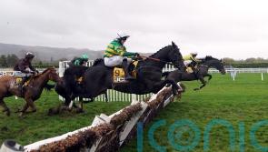 Milan Tino to fly the Cheltenham flag for France