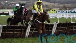 No problems with Sir Gino, says Henderson