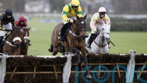 Rowley dreaming of Cheltenham glory after riding the storm