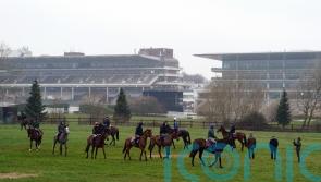 Soft ground expected for day one of the Festival