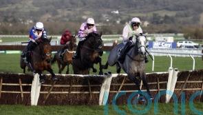 No trip concerns for Festival favourite Lossiemouth