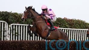 Nicholls expecting cheekpieces to &lsquo;sharpen&rsquo; up Stay Away Fay