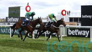 Henderson backing Jonbon to mount strong Champion challenge