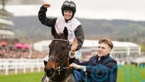 Slade Steel shows his mettle to rule supreme at Cheltenham