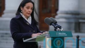 Culture minister defends attending festival despite boycott by Irish artists