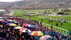 Cross-Country Chase abandoned at Cheltenham