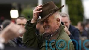 Magical Mullins brings up 100th Festival winner with Champion Bumper success
