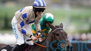 Captain Guinness and Blackmore rise to the occasion in dramatic Champion Chase