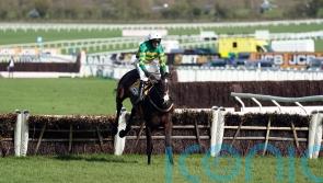 Majborough motors to Triumph Hurdle victory
