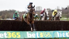 Beauport bags Midlands National glory