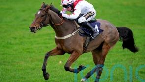 Snowden has Scottish National ambitions for Git Maker