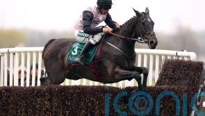 Elliott anticipating similar route back to Cheltenham for Gerri Colombe