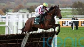 Buddy One effort part of a &lsquo;special week&rsquo; for Gilligan family