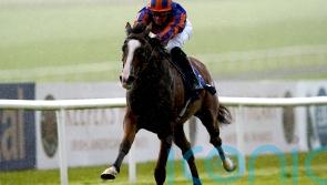 Opera Singer &lsquo;more unlikely than likely&rsquo; to make Newmarket