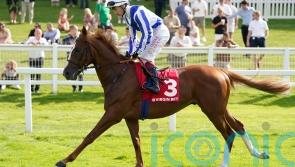 David Menuisier targets big French races with Sunway and Devil&rsquo;s Point