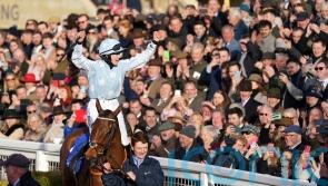 Motherhood beckons for wonder mare Honeysuckle