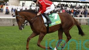 Shuwari ruled out of 1000 Guineas run