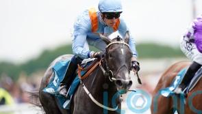 Chantilly return mapped out for Got To Love A Grey