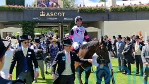 Porta Fortuna likely to take in Classic trial