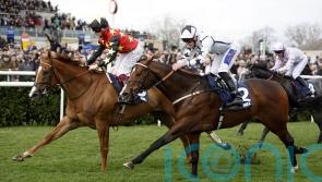 Fallon and Montassib swoop late for Cammidge triumph